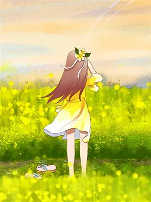 大明赘婿小说