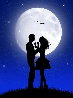 锦心绣婿