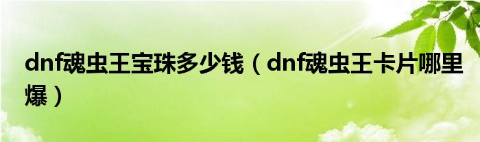 dnf魂虫王宝珠多少钱（dnf魂虫王卡片哪里爆）