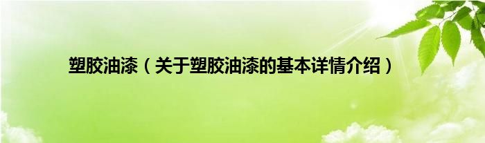 塑胶油漆（关于塑胶油漆的基本详情介绍）