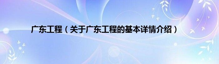 广东工程（关于广东工程的基本详情介绍）