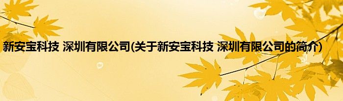 新安宝科技 深圳有限公司(关于新安宝科技 深圳有限公司的简介)