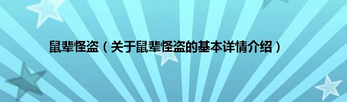 鼠辈怪盗（关于鼠辈怪盗的基本详情介绍）